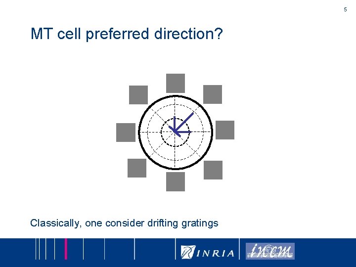 5 MT cell preferred direction? Classically, one consider drifting gratings 