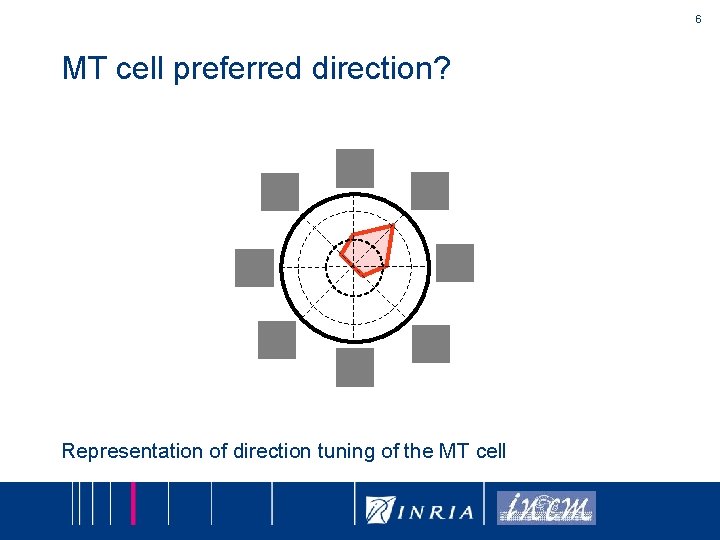 6 MT cell preferred direction? Representation of direction tuning of the MT cell 