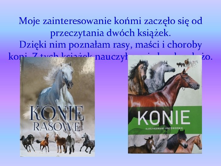 Moje zainteresowanie końmi zaczęło się od przeczytania dwóch książek. Dzięki nim poznałam rasy, maści