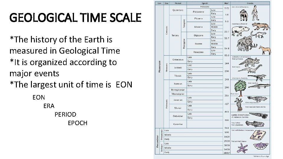 GEOLOGICAL TIME SCALE *The history of the Earth is measured in Geological Time *It