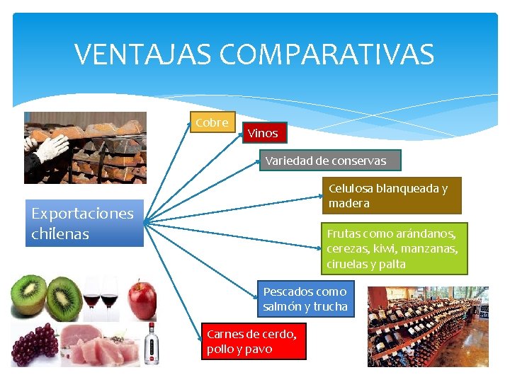 VENTAJAS COMPARATIVAS Cobre Vinos Variedad de conservas Celulosa blanqueada y madera Exportaciones chilenas Frutas