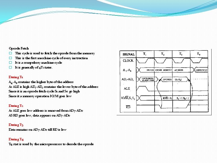 Opcode Fetch � This cycle is used to fetch the opcode from the memory