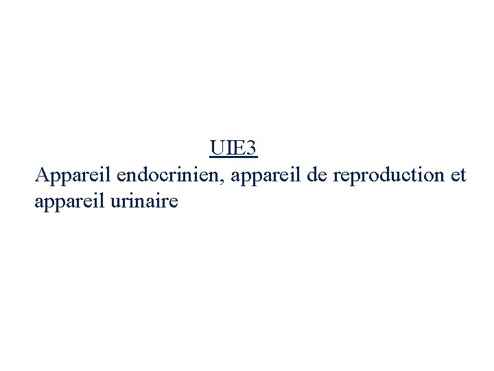 UIE 3 Appareil endocrinien, appareil de reproduction et appareil urinaire 