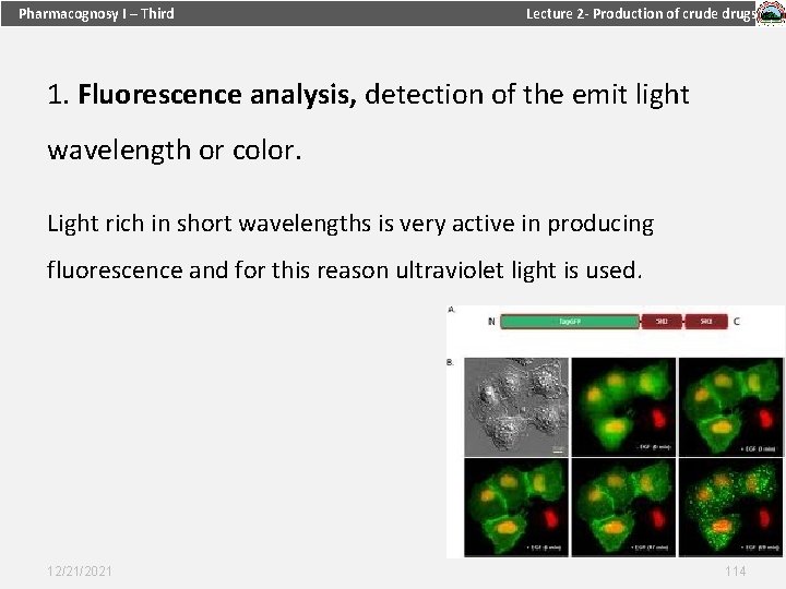 Pharmacognosy I – Third Lecture 2 - Production of crude drugs 1. Fluorescence analysis,