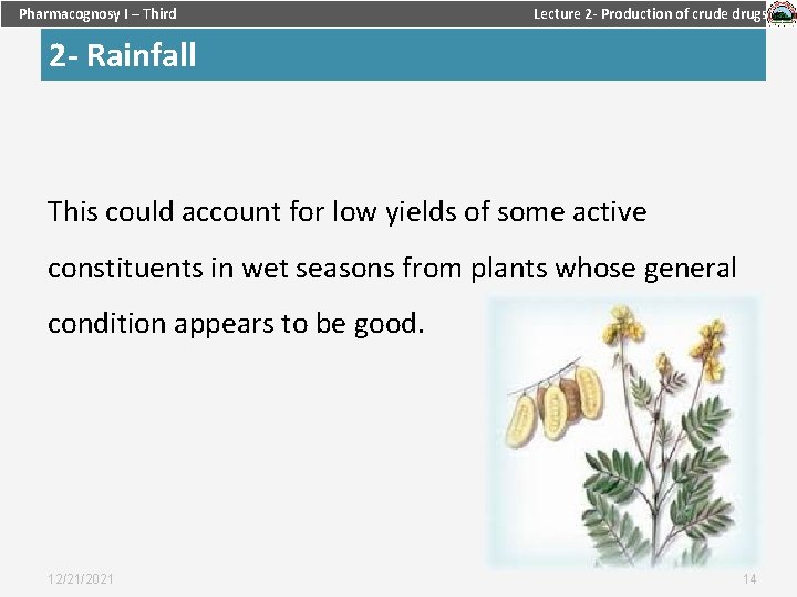 Pharmacognosy I – Third Lecture 2 - Production of crude drugs 2 - Rainfall