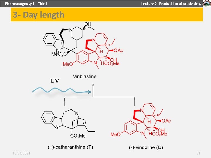 Pharmacognosy I – Third Lecture 2 - Production of crude drugs 3 - Day
