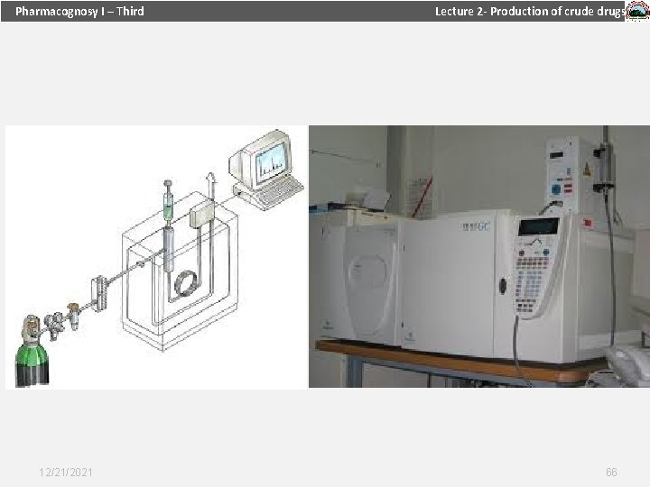 Pharmacognosy I – Third 12/21/2021 Lecture 2 - Production of crude drugs 66 