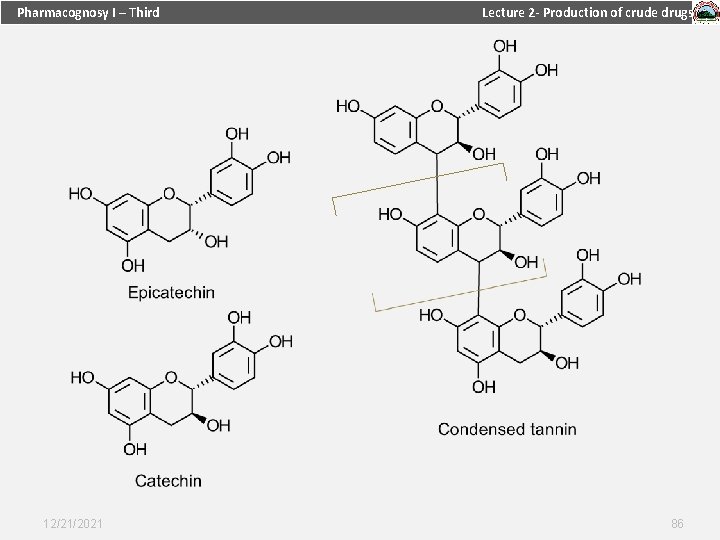 Pharmacognosy I – Third 12/21/2021 Lecture 2 - Production of crude drugs 86 