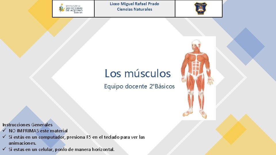 Liceo Miguel Rafael Prado Ciencias Naturales Los músculos Equipo docente 2°Básicos Instrucciones Generales ü