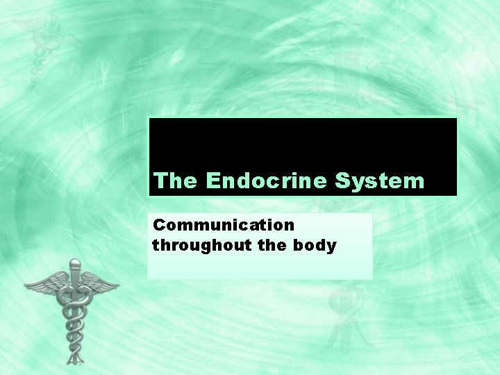 The Endocrine System Communication throughout the body 