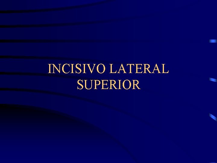 INCISIVO LATERAL SUPERIOR 