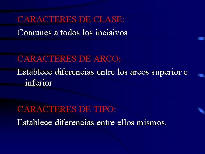 CARACTERES DE CLASE: Comunes a todos los incisivos CARACTERES DE ARCO: Establece diferencias entre