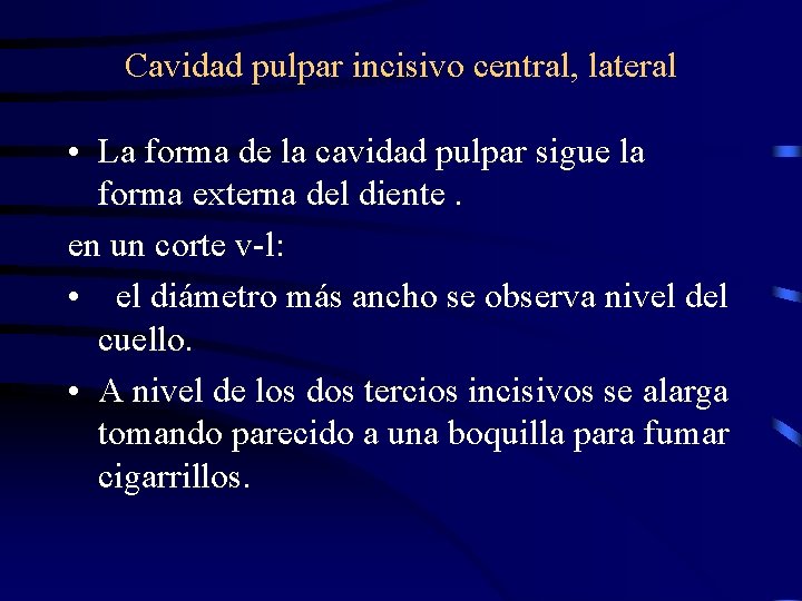 Cavidad pulpar incisivo central, lateral • La forma de la cavidad pulpar sigue la