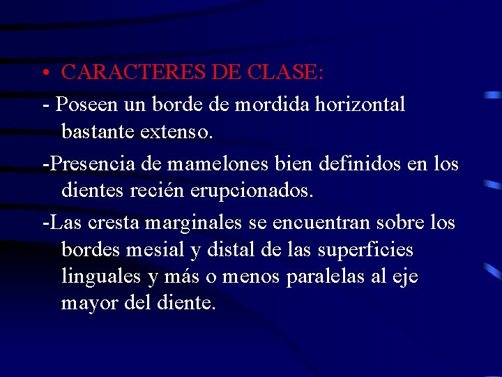  • CARACTERES DE CLASE: - Poseen un borde de mordida horizontal bastante extenso.