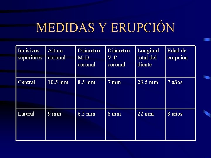 MEDIDAS Y ERUPCIÓN Incisivos Altura superiores coronal Diámetro M-D coronal Diámetro V-P coronal Longitud