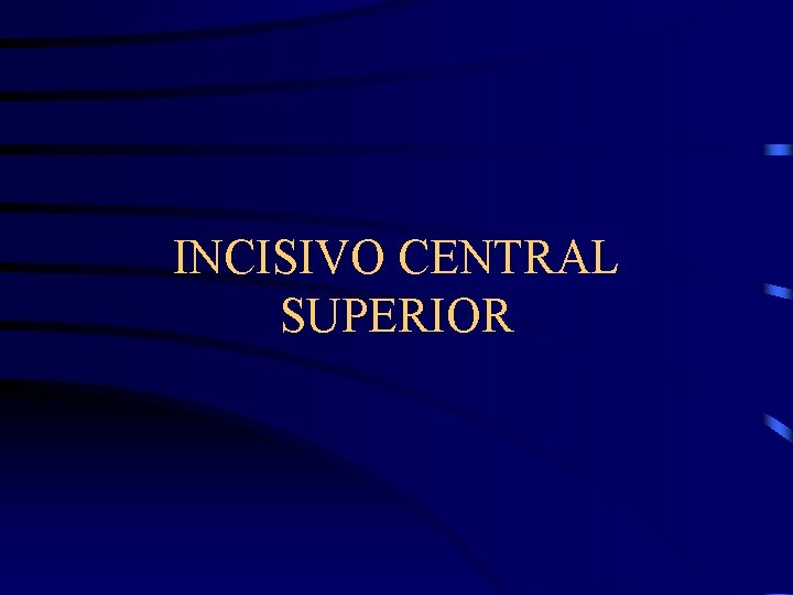 INCISIVO CENTRAL SUPERIOR 