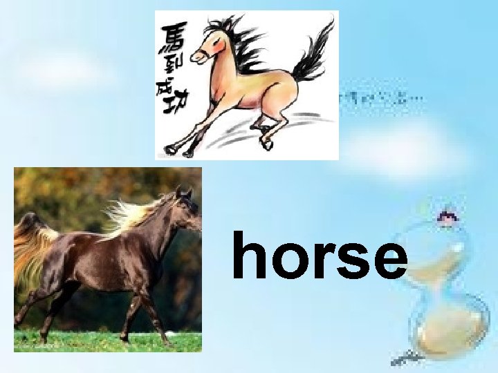 horse 