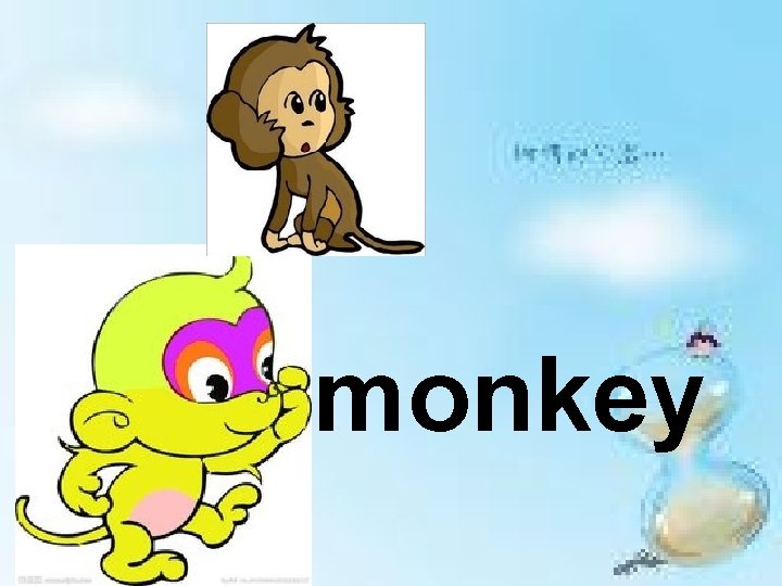 monkey 