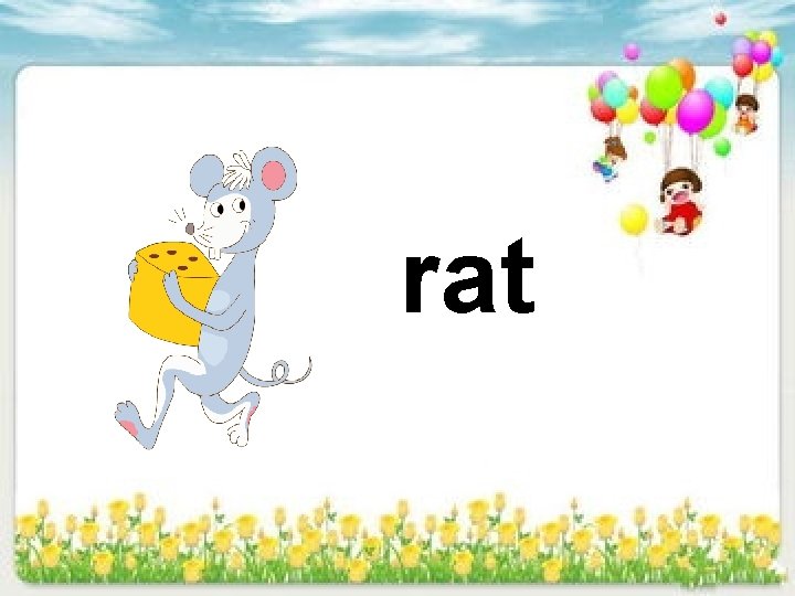 rat 