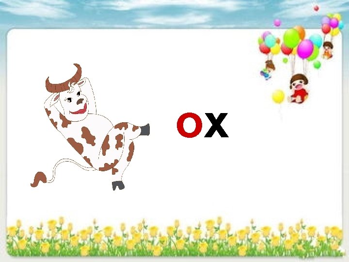 ox 