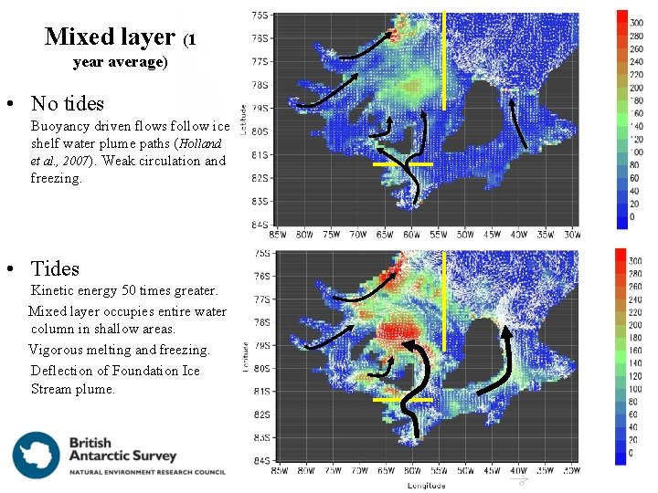 Mixed layer (1 year average) • No tides Buoyancy driven flows follow ice shelf Mixed layer (1 year average) • No tides Buoyancy driven flows follow ice shelf