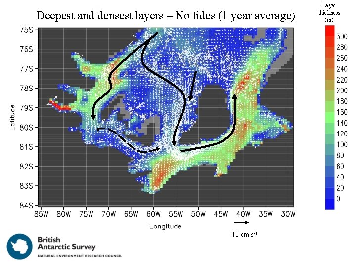 Deepest and densest layers – No tides (1 year average) 10 cm s-1 Layer Deepest and densest layers – No tides (1 year average) 10 cm s-1 Layer