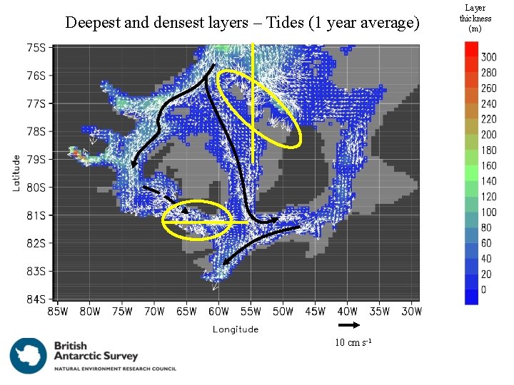 Deepest and densest layers – Tides (1 year average) 10 cm s-1 Layer thickness Deepest and densest layers – Tides (1 year average) 10 cm s-1 Layer thickness