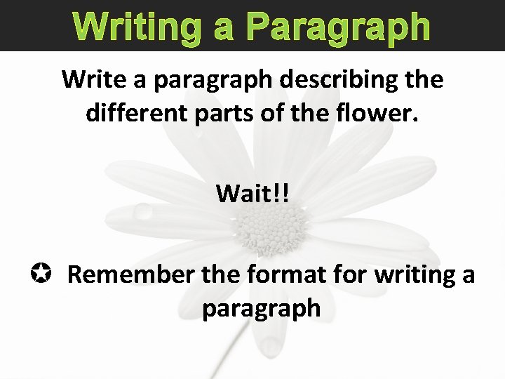 Writing a Paragraph Write a paragraph describing the different parts of the flower. Wait!!