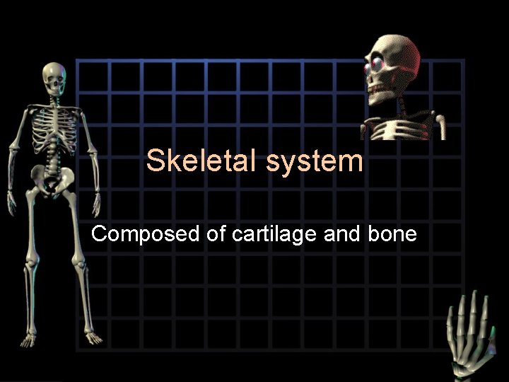 Skeletal system Composed of cartilage and bone 