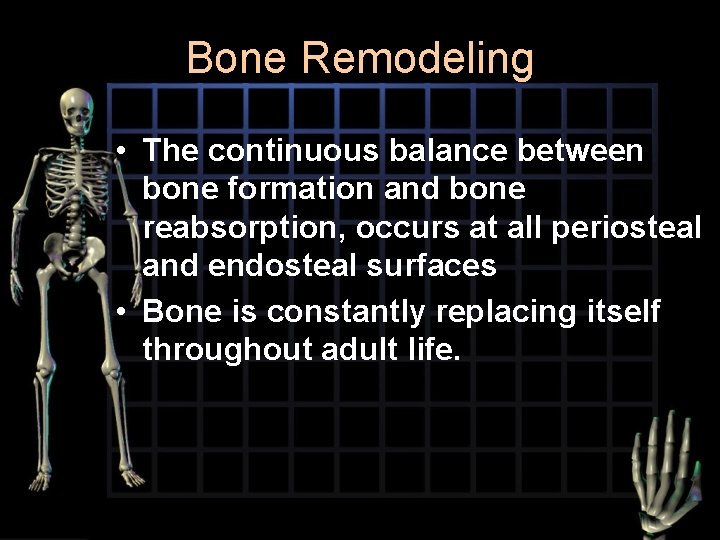 Bone Remodeling • The continuous balance between bone formation and bone reabsorption, occurs at