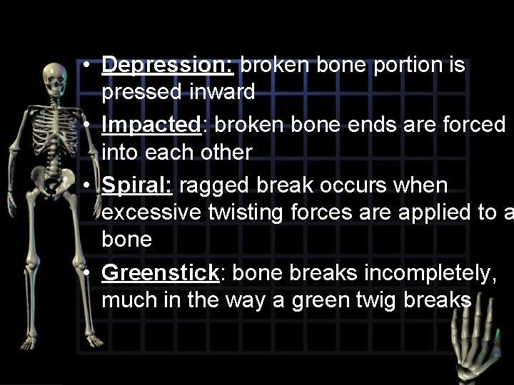  • Depression: broken bone portion is pressed inward • Impacted: broken bone ends