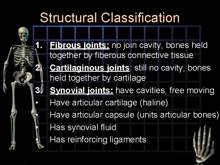Structural Classification 1. Fibrous joints: no join cavity, bones held together by fiberous connective