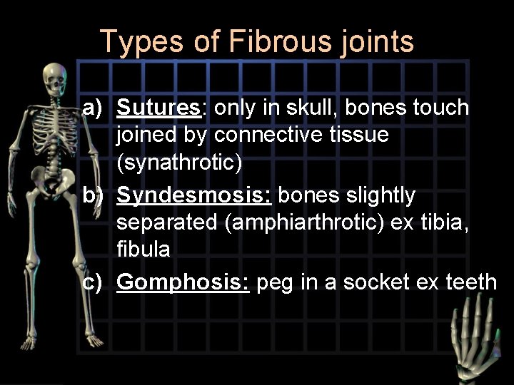 Types of Fibrous joints a) Sutures: only in skull, bones touch joined by connective