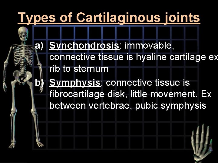 Types of Cartilaginous joints a) Synchondrosis: immovable, connective tissue is hyaline cartilage ex rib