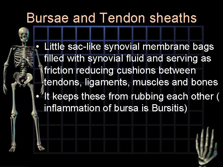 Bursae and Tendon sheaths • Little sac-like synovial membrane bags filled with synovial fluid