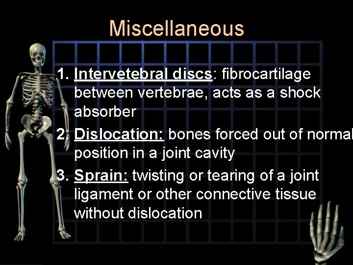 Miscellaneous 1. Intervetebral discs: fibrocartilage between vertebrae, acts as a shock absorber 2. Dislocation: