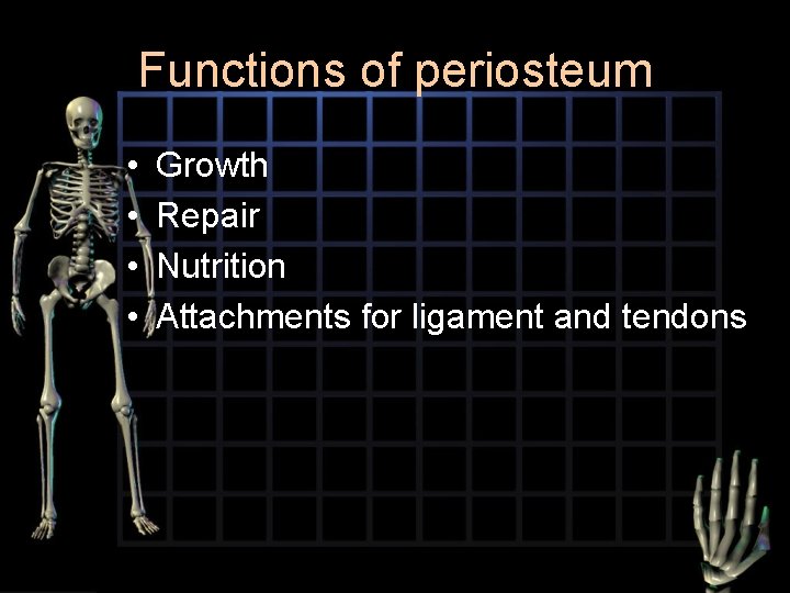 Functions of periosteum • • Growth Repair Nutrition Attachments for ligament and tendons 