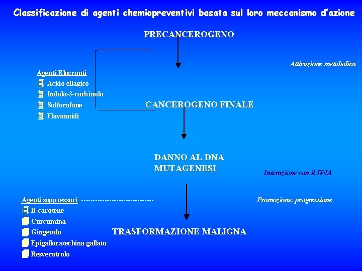 Classificazione di agenti chemiopreventivi basata sul loro meccanismo d’azione PRECANCEROGENO Attivazione metabolica Agenti Bloccanti