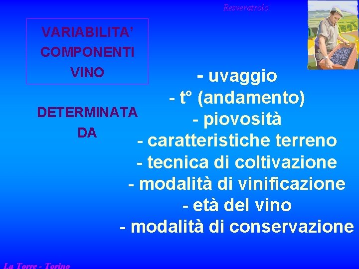 Resveratrolo VARIABILITA’ COMPONENTI VINO - uvaggio - t° (andamento) DETERMINATA - piovosità DA -