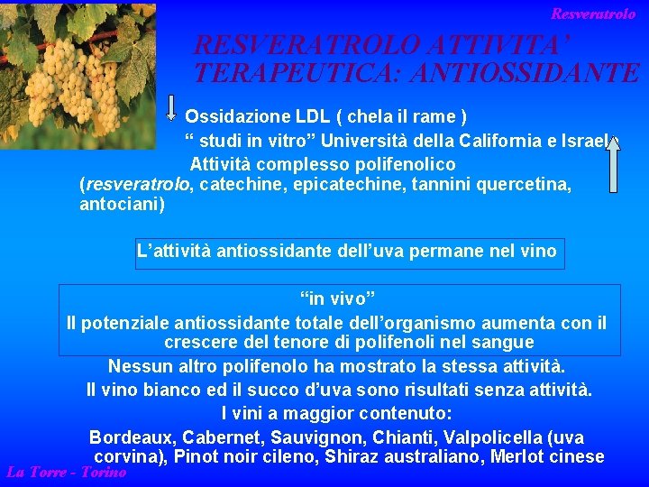Resveratrolo RESVERATROLO ATTIVITA’ TERAPEUTICA: ANTIOSSIDANTE Ossidazione LDL ( chela il rame ) “ studi