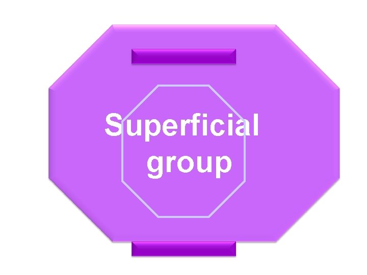 Superficial group 