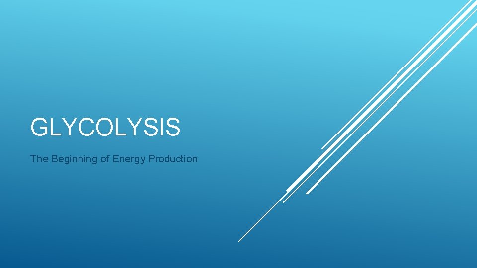 GLYCOLYSIS The Beginning of Energy Production 