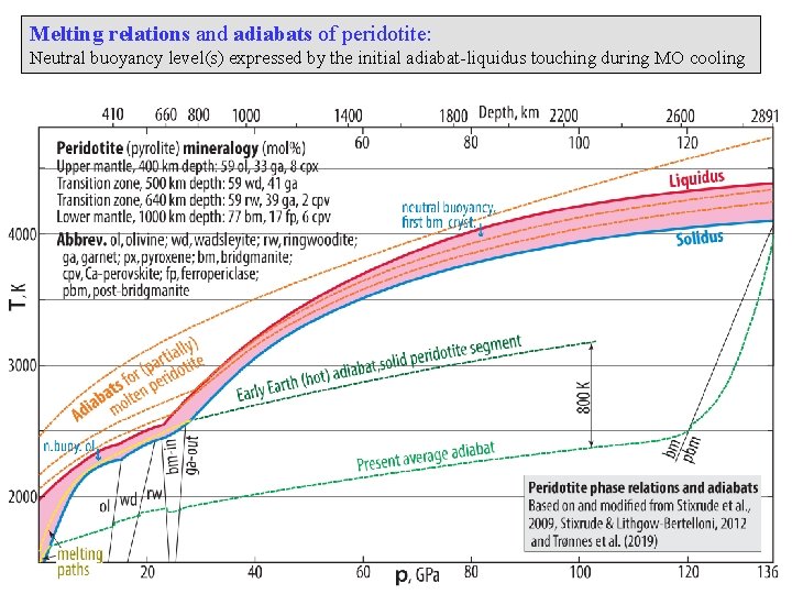 Melting relations and adiabats of peridotite: Neutral buoyancy level(s) expressed by the initial adiabat-liquidus
