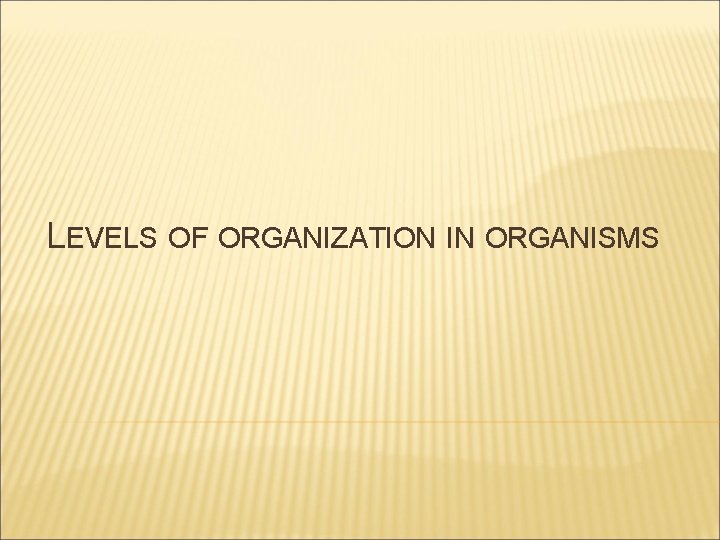 LEVELS OF ORGANIZATION IN ORGANISMS 