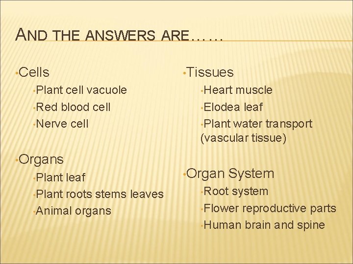 AND THE ANSWERS ARE…… • Cells • Plant cell vacuole • Red blood cell