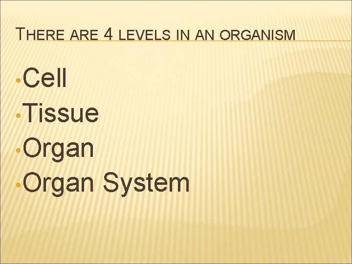 THERE ARE 4 LEVELS IN AN ORGANISM • Cell • Tissue • Organ System