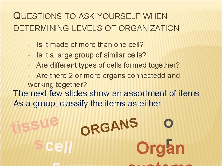 QUESTIONS TO ASK YOURSELF WHEN DETERMINING LEVELS OF ORGANIZATION Is it made of more