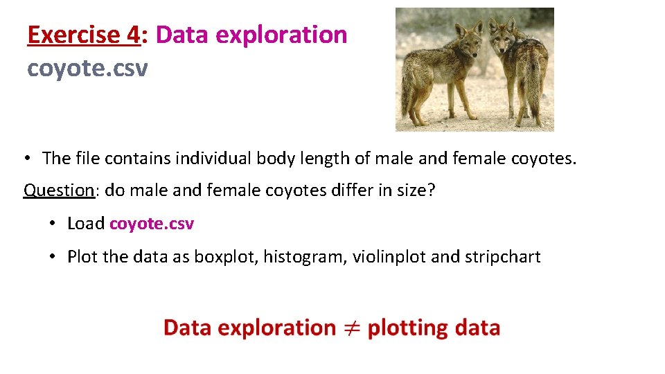 Exercise 4: Data exploration coyote. csv • The file contains individual body length of