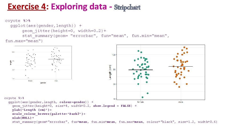 Exercise 4: Exploring data - Stripchart coyote %>% ggplot(aes(gender, length)) + geom_jitter(height=0, width=0. 2)+