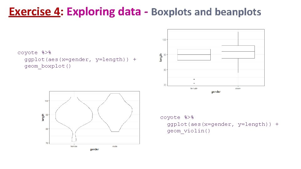 Exercise 4: Exploring data - Boxplots and beanplots coyote %>% ggplot(aes(x=gender, y=length)) + geom_boxplot()